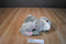 Disneyland Mouseketoys Thumper Plush