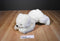 Ty Clasic White Baby Paws 1997 Beanbag Plush With Brown Toe Pads
