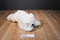 Ty Clasic White Baby Paws 1997 Beanbag Plush With Brown Toe Pads