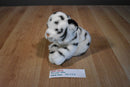 Animal Alley White Tiger Cub Beanbag Plush With Blue Eyes
