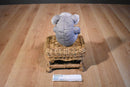 Dakin Mini Koala Beanbag Plush