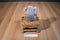 Dakin Mini Koala Beanbag Plush
