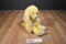 Nanco Animaland Yellow Lab Puppy Dog2007 Plush