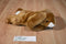 Ty Buddies Ears the Brown Rabbit 2001 Beanbag Plush
