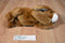 Ty Buddies Ears the Brown Rabbit 2001 Beanbag Plush