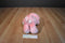 Kenner Care Bears Pink Love a Lot Bear 1983 Plush