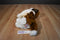 Douglas Oma Saint Bernard Dog Beanbag Plush