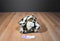 Build a Bear Brown and Beige WWF Clouded Leopard Plush