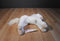Wells Fargo Mollie White Pony 2008 Beanbag Plush