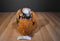 Hugfun Colby Brown Dog 2009 Beanbag Plush