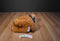 Hugfun Colby Brown Dog 2009 Beanbag Plush