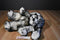 Fairview Soft Creations White and Black Puppy Dog Plush with a Bell