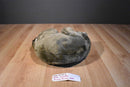 Dakin Lou Rankin Friends Sammy the Raccoon 2000 Beanbag Plush