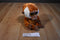 Ty Beanie Boos Bongo Brown and White Gibbon Monkey 2012 Beanbag Plush