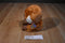 Ty Beanie Boos Bongo Brown and White Gibbon Monkey 2012 Beanbag Plush