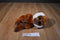 Ty Beanie Boos Bongo Brown and White Gibbon Monkey 2012 Beanbag Plush
