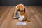 Wolverine Worldwide Inc. Hush Puppies Basset Hound Plush