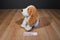 Wolverine Worldwide Inc. Hush Puppies Basset Hound Plush