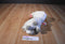 Toy Factory Despicable Me 3 Lucky the Unigoat Unicorn Plush