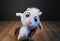 Toy Factory Despicable Me 3 Lucky the Unigoat Unicorn Plush