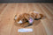 Ty Beanie Buddies Ears the Brown Bunny Rabbit 2001 Beanbag Plush