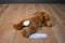 Ty Beanie Buddies Ears the Brown Bunny Rabbit 2001 Beanbag Plush