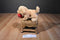 Douglas Golden Retriever Dog with Red Heart Beanbag Plush