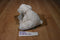 Wild Republic Mini Polar Bear 2015 Beanbag Plush