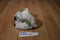 Wild Republic Mini Polar Bear 2015 Beanbag Plush