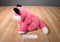 Aurora Girlz Nation Pink and White Fox 2015 Beanbag Plush With Pink Leopard Print Bow