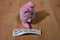 Hasbro Balloon Pokemon Pink Jigglypuff 2005 Beanbag Plush With Green Eyes