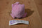 Hasbro Balloon Pokemon Pink Jigglypuff 2005 Beanbag Plush With Green Eyes