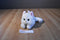 The Petting Zoo Floppy White Cat Beanbag Plush With Blue Eyes