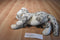 Ty Classic Thomas the Grey and White Spotted Cat 2001 Beanbag Plush