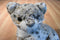 Ty Classic Thomas the Grey and White Spotted Cat 2001 Beanbag Plush
