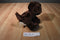 Aurora Dreamy Eyes Rowdy the River Otter 2018 Beanbag Plush