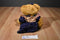 Russ Amelia Patriotic Teddy Bear Beanbag Plush