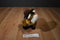 Aurora Round Up Brown Bull Beanbag Plush With Cowboy Hat and Chaps