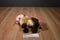 Aurora Round Up Brown Bull Beanbag Plush With Cowboy Hat and Chaps