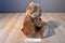 Gund Booker the Brown Teddy Bear Beanbag Plush