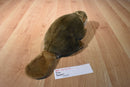 Jag Beaver Beanbag Plush
