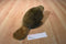 Jag Beaver Beanbag Plush