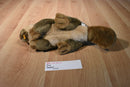 Jag Beaver Beanbag Plush