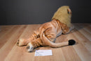 Best Made Male African Lion Beanbag Plush with a Foam Head