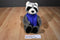 Stuffed animal House Romeo Raccoon Beanbag Plush With Blue Vest