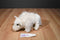 Ty Beanie Buddy Roam White Bison Buffalo 2000 Beanbag Plush