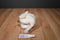 Ty Beanie Buddy Roam White Bison Buffalo 2000 Beanbag Plush