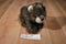 K & M Brown Wolf Cub 2006 Beanbag Plush With Blue Eyes