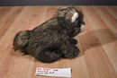 K & M Brown Wolf Cub 2006 Beanbag Plush With Blue Eyes