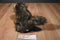 K & M Brown Wolf Cub 2006 Beanbag Plush With Blue Eyes